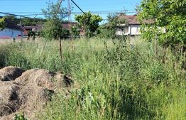 Casă de vânzare | Ceanu Mare – Liniște, natură și priveliște de vis
