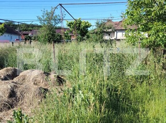 Casa de vânzare 2 camere Ceanu Mare - 198019CV | BLITZ Cluj-Napoca | Poza11