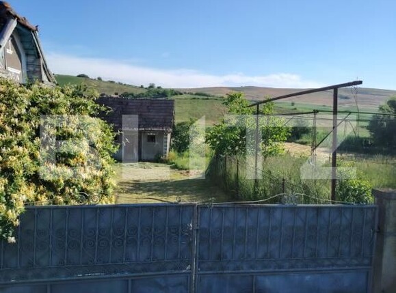 Casa de vânzare 2 camere Ceanu Mare - 198019CV | BLITZ Cluj-Napoca | Poza3