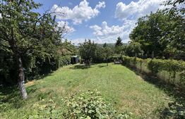 Casa 2 camere, 70mp, curte, zona Corneliu Coposu