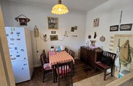 Casa individuala, 6 camere, 217 mp, in zona Parcul Central
