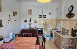 Casa individuala, 6 camere, 217 mp, in zona Parcul Central