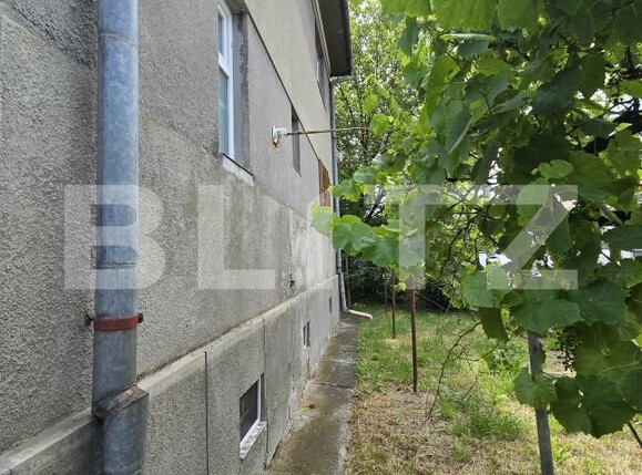 Casa de vânzare 6 camere Central - 198079CV | BLITZ Cluj-Napoca | Poza18