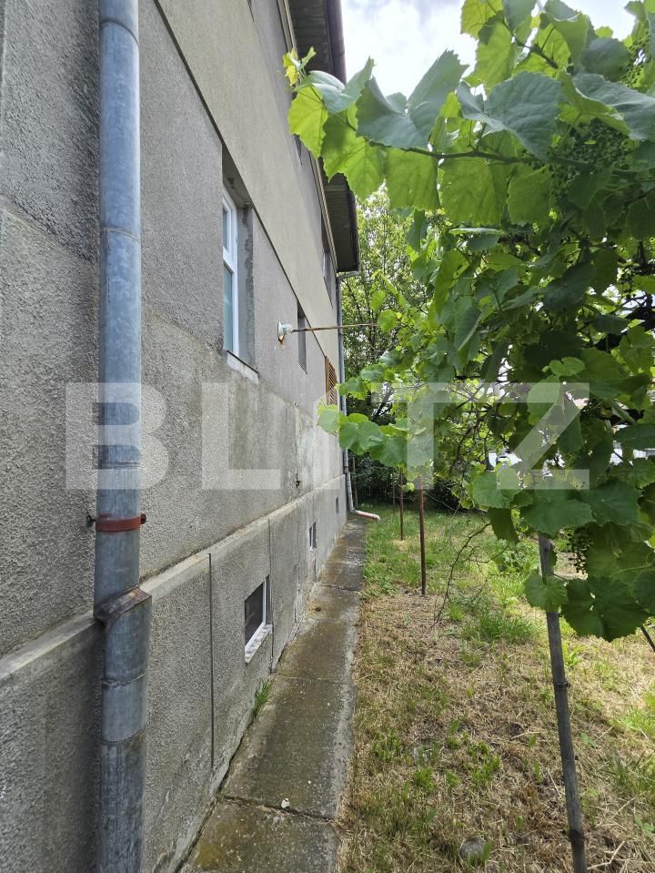 Casa de vânzare 6 camere Central - 198079CV | BLITZ Cluj-Napoca | Poza18