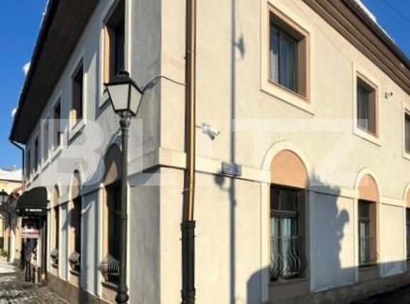 Spațiu comercial de vânzare Central - 198102SVC | BLITZ Cluj-Napoca | Poza1