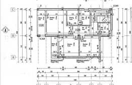 Vanzare casa individuala, 206 mp utili, 500 mp teren, zona nou dezvoltata