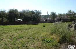 Vanzare casa individuala, 250 mp utili, 800 mp teren, zona de case si vile