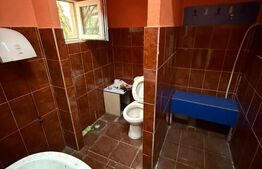 Spatiu comercial, 40 mp, parter, vad excelent - Gheorgheni