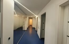 Oportunitate Investiție! Cabinet Medical/Stomatologic la Cheie–152 mp, Borhanci