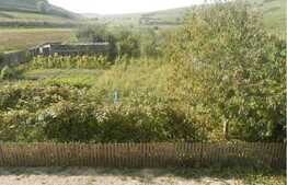 Casa ta de la tara, dar aproape de oras!