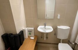 Oportunitate! Spatiu comercial Ultracentral, 22mp, Zona Casa de Cultura