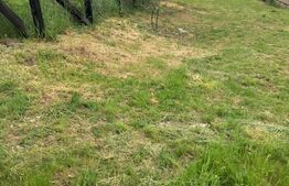 🏡 Teren de vânzare, parcele disponibile, 40 €/mp, 10.656 mp, zona Bod