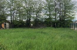 🏡 Teren de vânzare, parcele disponibile, 40 €/mp, 10.656 mp, zona Bod