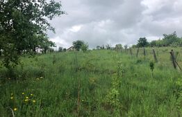 🏡 Teren de vânzare, parcele disponibile, 40 €/mp, 10.656 mp, zona Bod