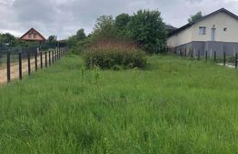🏡 Teren de vânzare, parcele disponibile, 40 €/mp, 10.656 mp, zona Bod