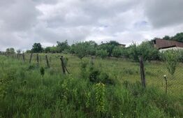 🏡 Teren de vânzare, parcele disponibile, 40 €/mp, 10.656 mp, zona Bod