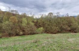 Oportunitate!!!! TEREN EXTRAVILAN CU SUPRAFATA DE 12500 MP 