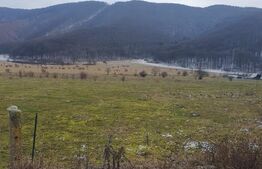 Oportunitate! TEREN INTRAVILAN CU SUPRAFATA DE 5200 MP 