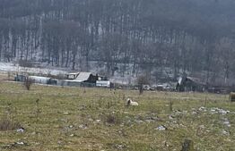 Oportunitate! TEREN INTRAVILAN CU SUPRAFATA DE 5200 MP 