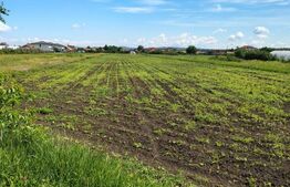 Teren Intravilan de vanzare, 4300 mp, zona plata, in Jucu de Mijloc