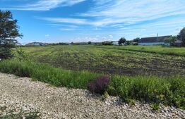 Teren Intravilan de vanzare, 4300 mp, zona plata, in Jucu de Mijloc