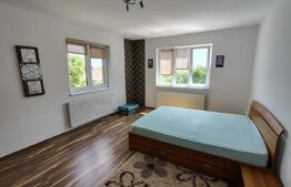 Casa individuala remarcabilă cu 6 camere, 360 mp, teren 4472 mp, Comuna Tureni