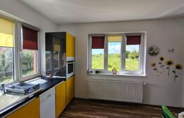 Casa individuala remarcabilă cu 6 camere, 360 mp, teren 4472 mp, Comuna Tureni