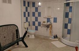 Casa individuala remarcabilă cu 6 camere, 360 mp, teren 4472 mp, Comuna Tureni