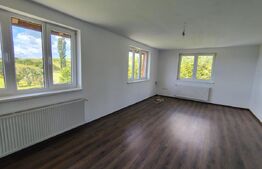 Casa individuala remarcabilă cu 6 camere, 360 mp, teren 4472 mp, Comuna Tureni