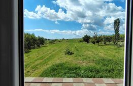Casa de vânzare 5 camere Mihai Viteazu - 204100CV | BLITZ Cluj-Napoca | Poza4