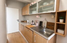 Casă de vanzare, complet mobilată și utilată | 580 mp teren | Apahida