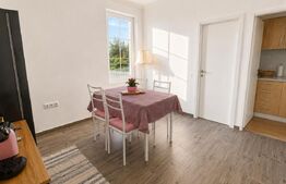 Casă de vanzare, complet mobilată și utilată | 580 mp teren | Apahida