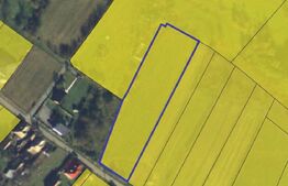 Investitie ! Teren intravilan 4456 mp, front 30 m, Băișoara !