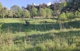 Teren extravilan de vanzare, 10.000 mp, in Valea Zizinului