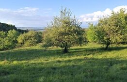 Teren extravilan de vanzare, 10.000 mp, in Valea Zizinului