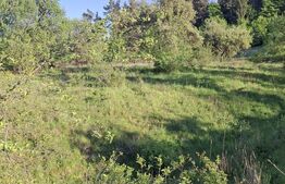 Teren extravilan de vanzare, 10.000 mp, in Valea Zizinului