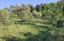 Teren extravilan de vanzare, 10.000 mp, in Valea Zizinului