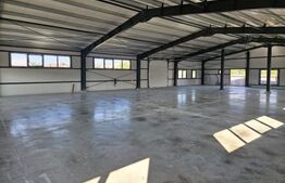 INCHIRIERE HALA INDUSTRIALA CODLEA