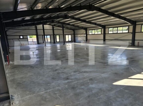 Spațiu industrial de închiriat Codlea - 198379SII | BLITZ Brașov | Poza7