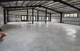 Vanzare Hale industriale