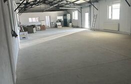 Vanzare Hale industriale