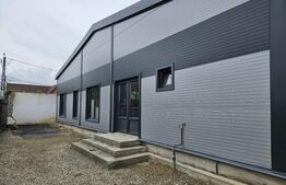 Vanzare Hale industriale
