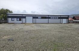 Vanzare Hale industriale