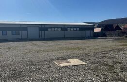 Vanzare Hale industriale