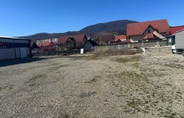 Vanzare Hale industriale