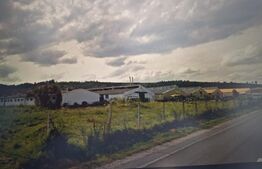 Hale industriale de vanzare, 3000 mp, teren 15000 mp - Maierus