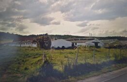 Hale industriale de vanzare, 3000 mp, teren 15000 mp - Maierus
