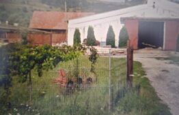 Hale industriale de vanzare, 3000 mp, teren 15000 mp - Maierus