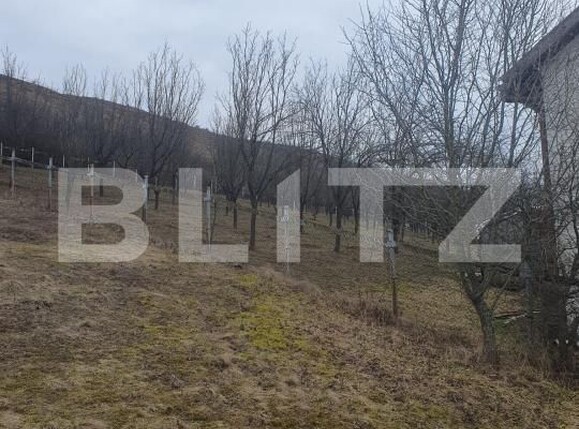 Casa de vânzare 5 camere Feleacu - 198433CV | BLITZ Cluj-Napoca | Poza5