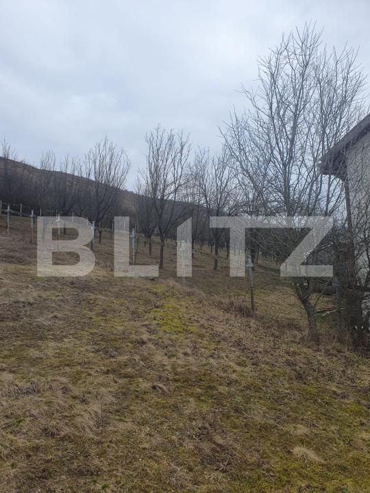 Casa de vânzare 5 camere Feleacu - 198433CV | BLITZ Cluj-Napoca | Poza5